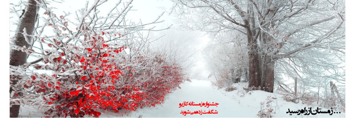 جشنواره زمستانه کازيو