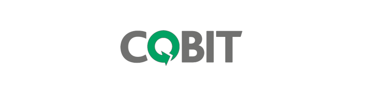 پروپوزال  Cobit