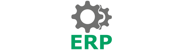 پروپوزال  ERP