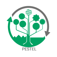 پروپوزال PESTEL