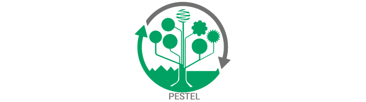 پروپوزال PESTEL