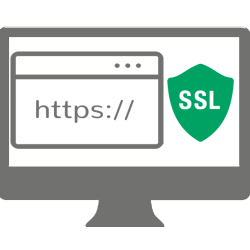 پروپوزال  SSL